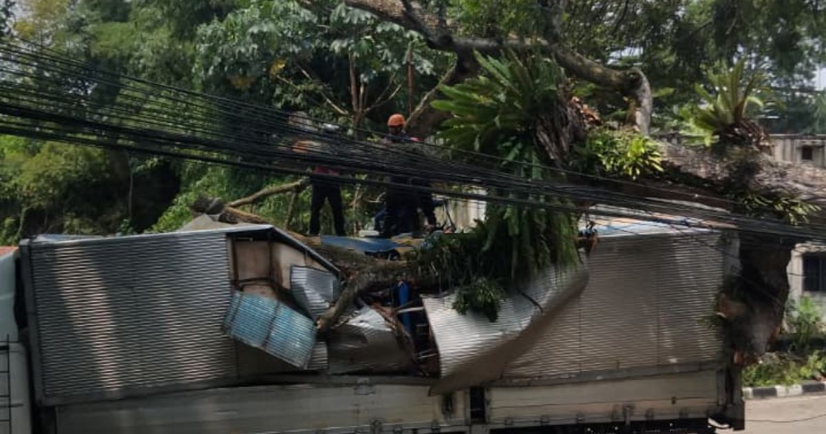 Pohon Tua Tumbang di Ciawi Bogor Timpa Kendaraan Truk dan Mobil Patroli